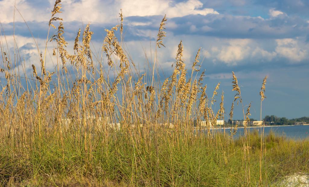 Minorga On The Key By Beachside Management Siesta Key Exterior foto